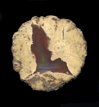 White Rock Springs Thunderegg